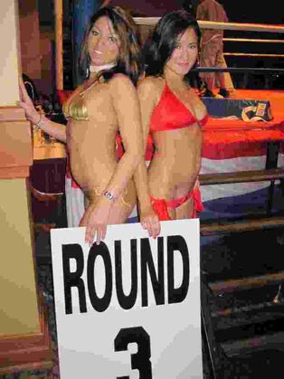sexy ring girl costumes